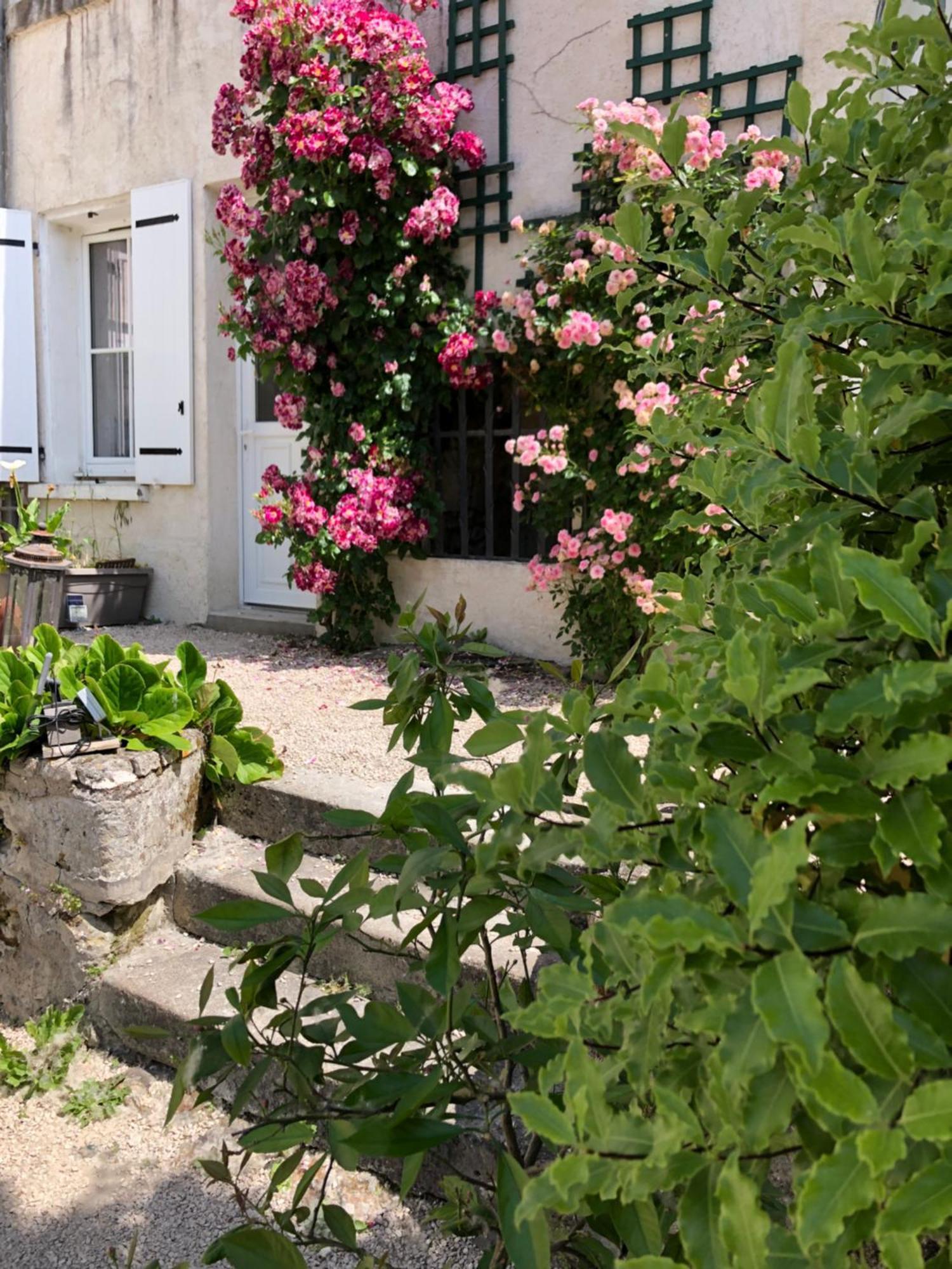 Les Troglos De La Tufolière Rochecorbon